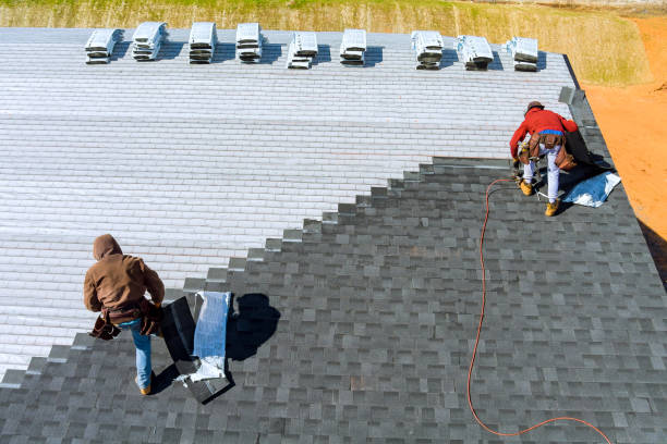 Best Commercial Roofing Services  in St Johns, AZ