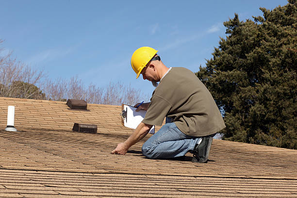 Best Roof Insulation Installation  in St Johns, AZ