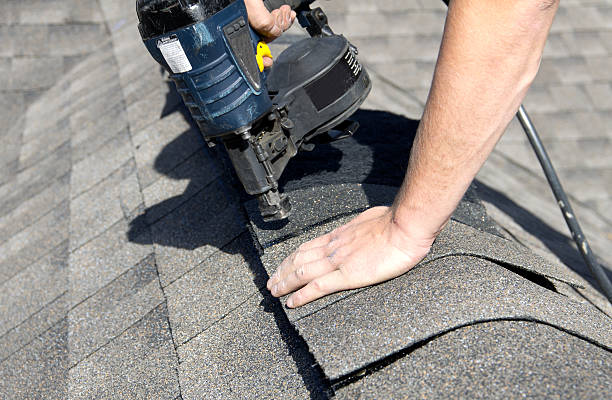 Best Roof Moss and Algae Removal  in St Johns, AZ